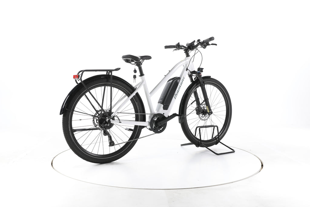 Diamant Zing + Trekking E-Bike - Image 12