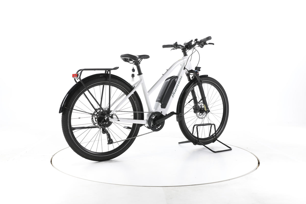 Diamant Zing + Trekking E-Bike - Image 12