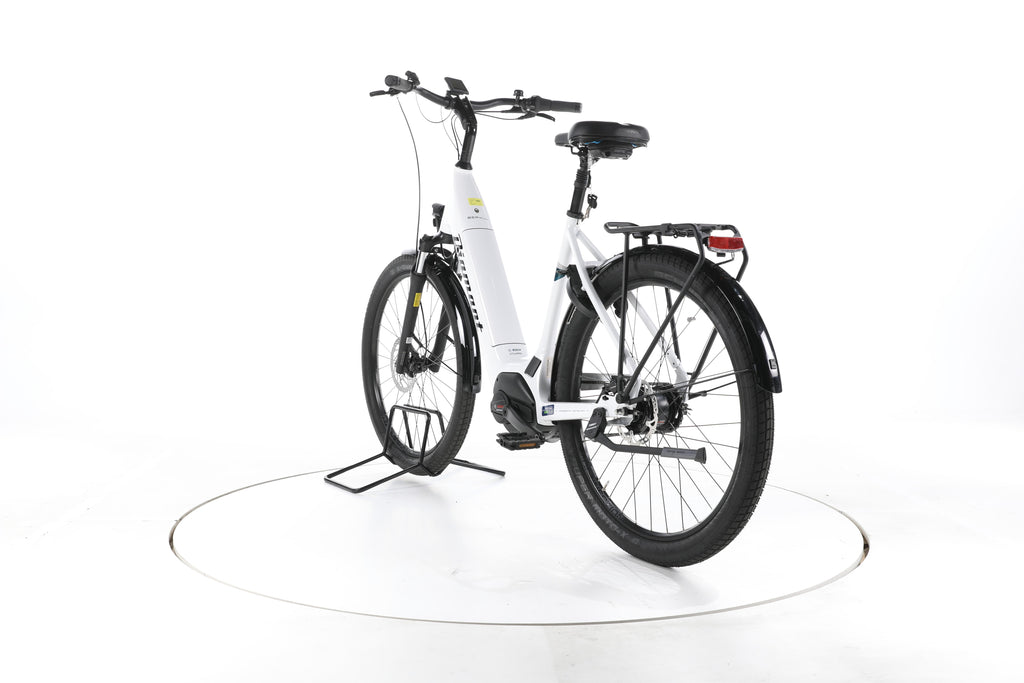 Diamant Beryll RT Gen 3 City E-Bike Tiefeinsteiger - Image 9
