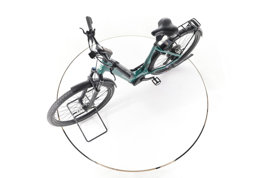 ADVANCED Trekking Pro Trekking E-Bike Tiefeinsteiger - Image 18