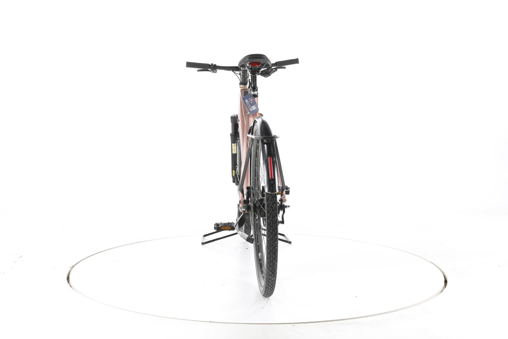 Riese & Müller UBN Seven silent City E-Bike - Image 10