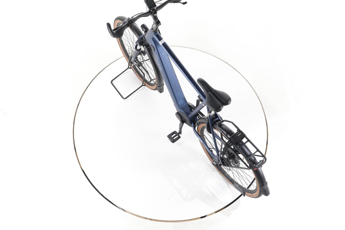 Pegasus PREMIO EVO 9 Trekking E-Bike 2025 - Image 21
