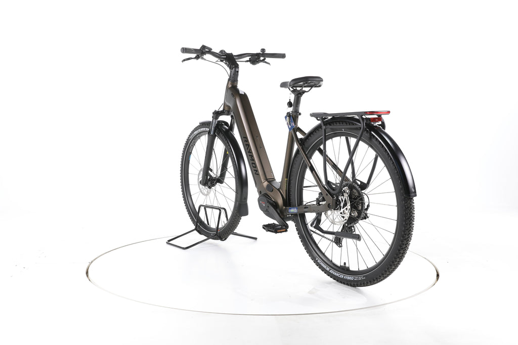 R Raymon Tahona Trekking E-Bike Tiefeinsteiger 2024 - Image 9