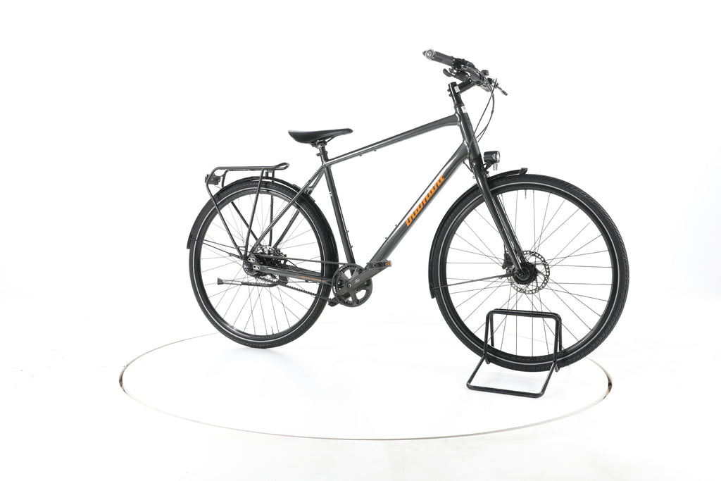 Diamant 247 Deluxe Fahrrad City & Trekking - Image 2