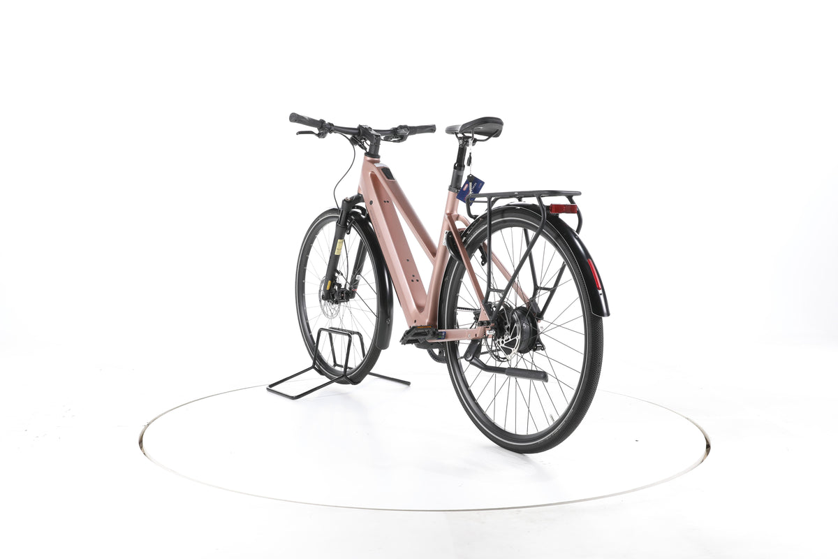 Riese & Müller UBN City E-Bike 2024 - Image 9