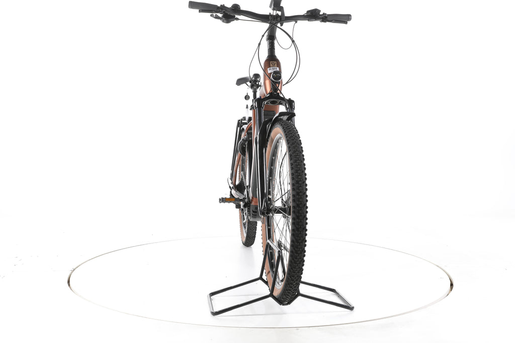 Conway Cairon C 2.0 Trekking E-Bike Tiefeinsteiger 2025 - Image 4