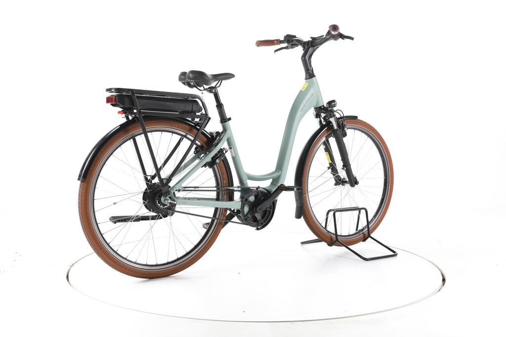 Riese & Müller Swing vario City E-Bike Tiefeinsteiger 2025 - Image 12