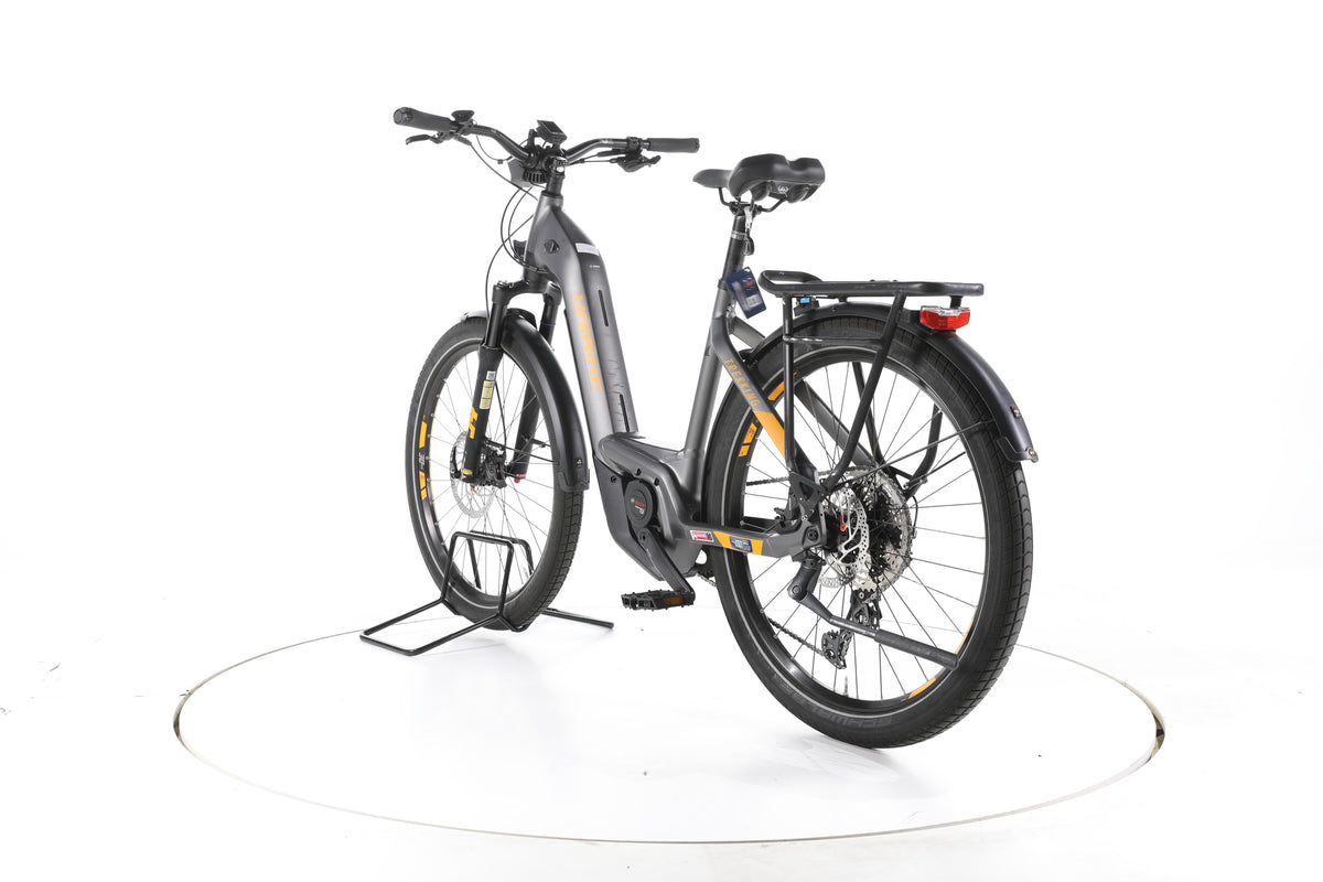 Haibike Trekking 10 Trekking E-Bike Tiefeinsteiger - Image 9