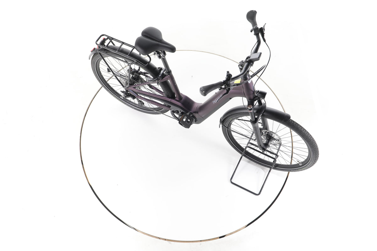 Pegasus Premio EVO 11 Lite Trekking E-Bike Tiefeinsteiger - Image 14