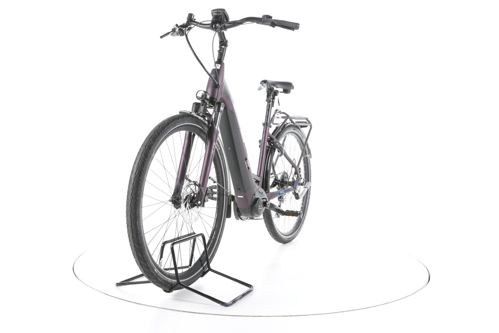 Pegasus Solero EVO 9 Trekking E-Bike Tiefeinsteiger - Image 5