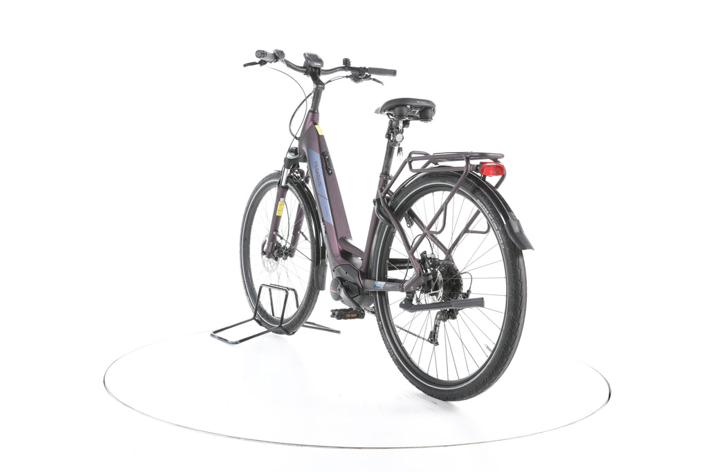 Pegasus Solero EVO 9 Trekking E-Bike Tiefeinsteiger - Image 9