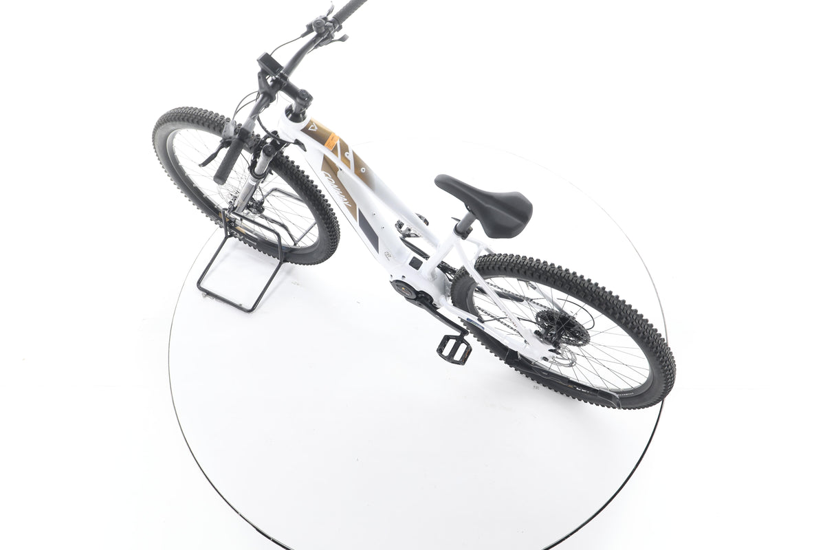 Conway Cairon S 5.0 E-Bike - Image 20