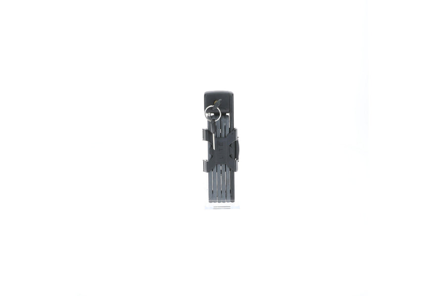 rb-10004363-img-001