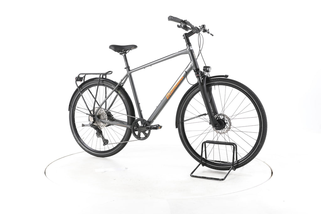 Diamant Elan Super Deluxe Fahrrad City & Trekking - Image 2