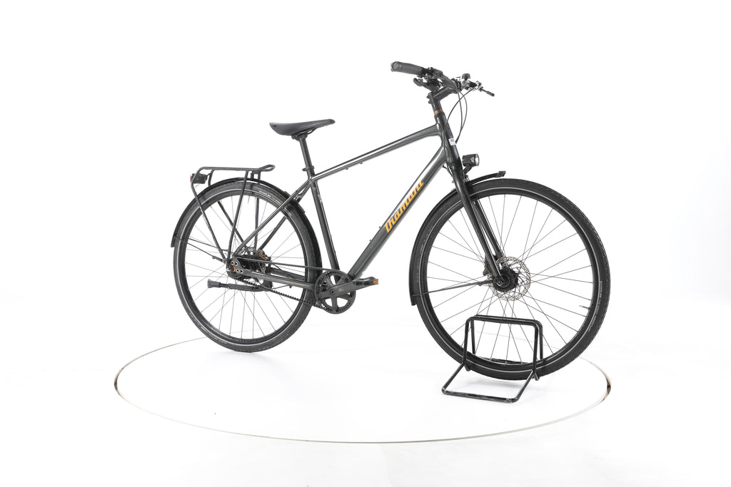 Diamant 247 Deluxe Fahrrad City & Trekking - Image 2