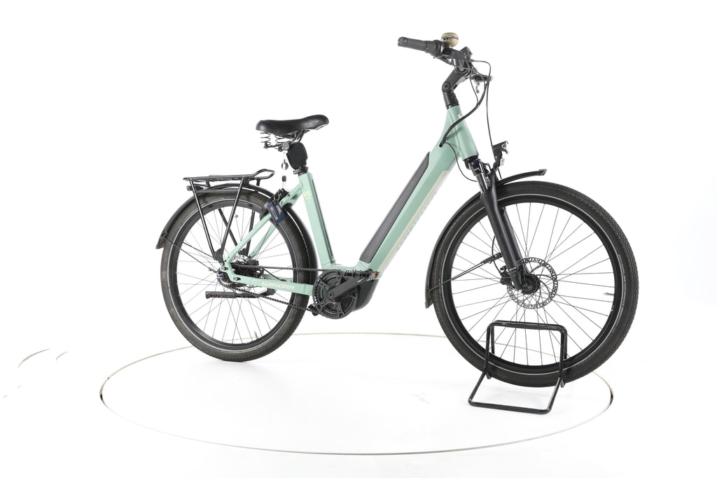 HoheAcht Pasio Terra Trekking E-Bike - Image 2