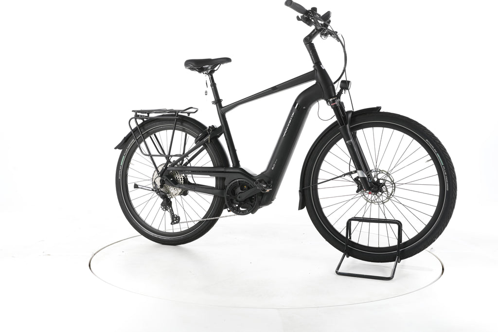 Pegasus Strong Evo 12 Lite Trekking E-Bike - Image 2
