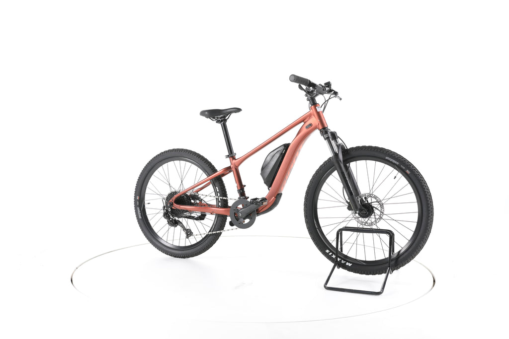 Giant Talon E+ jr. 24 E-Bike - Image 2