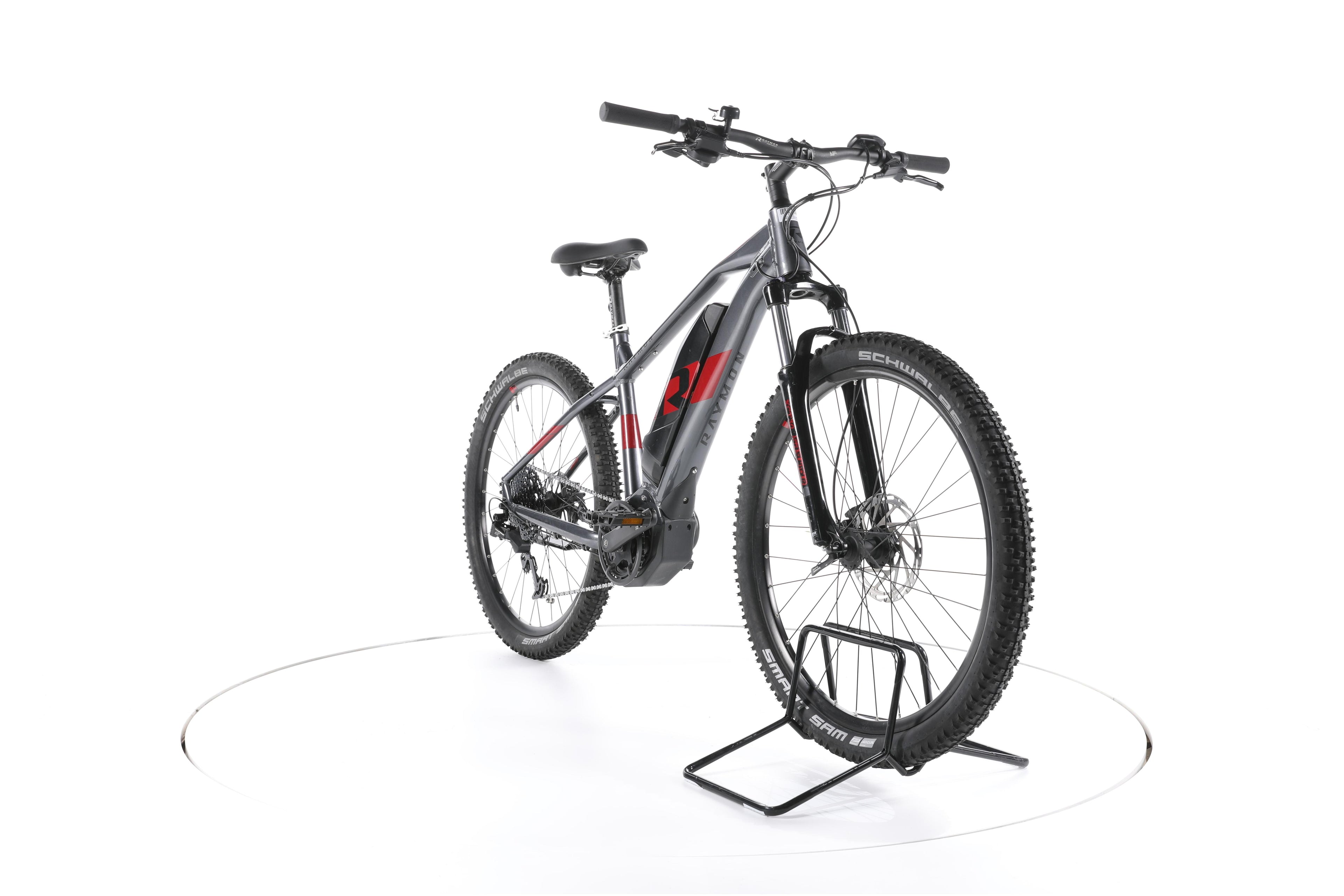 R Raymon HardRay E 3.0 E-Bike - Image 3