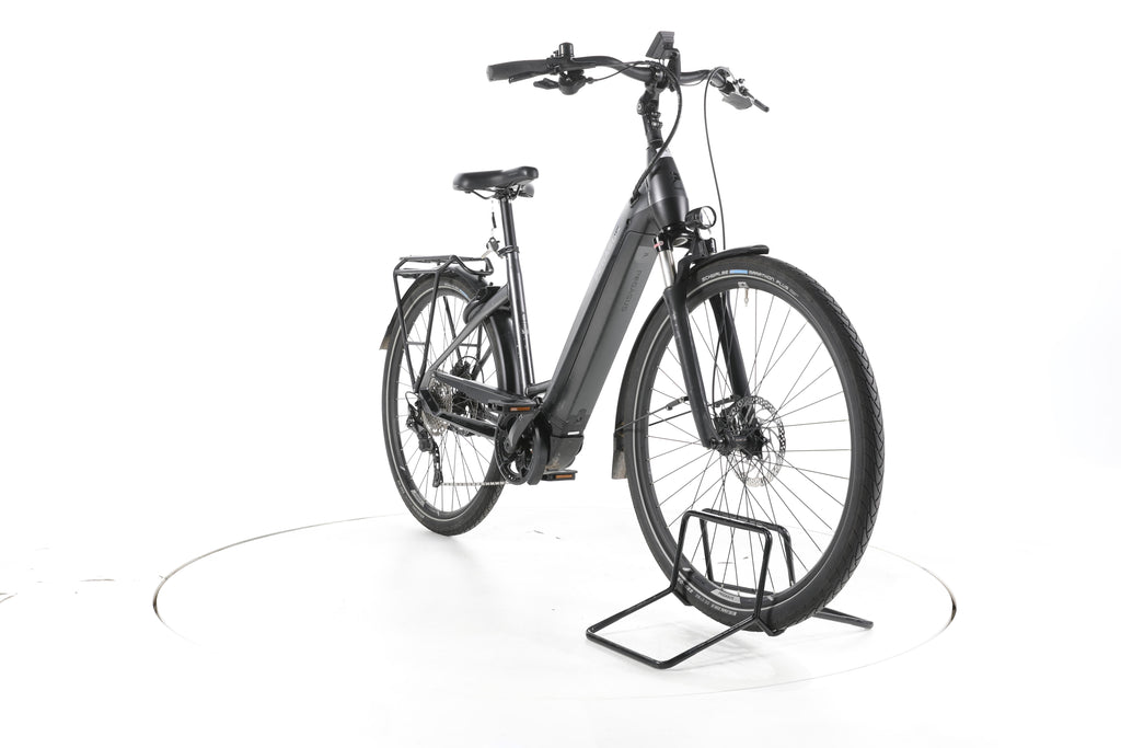 Pegasus Premio Evo 10 Lite Trekking E-Bike Tiefeinsteiger - Image 3