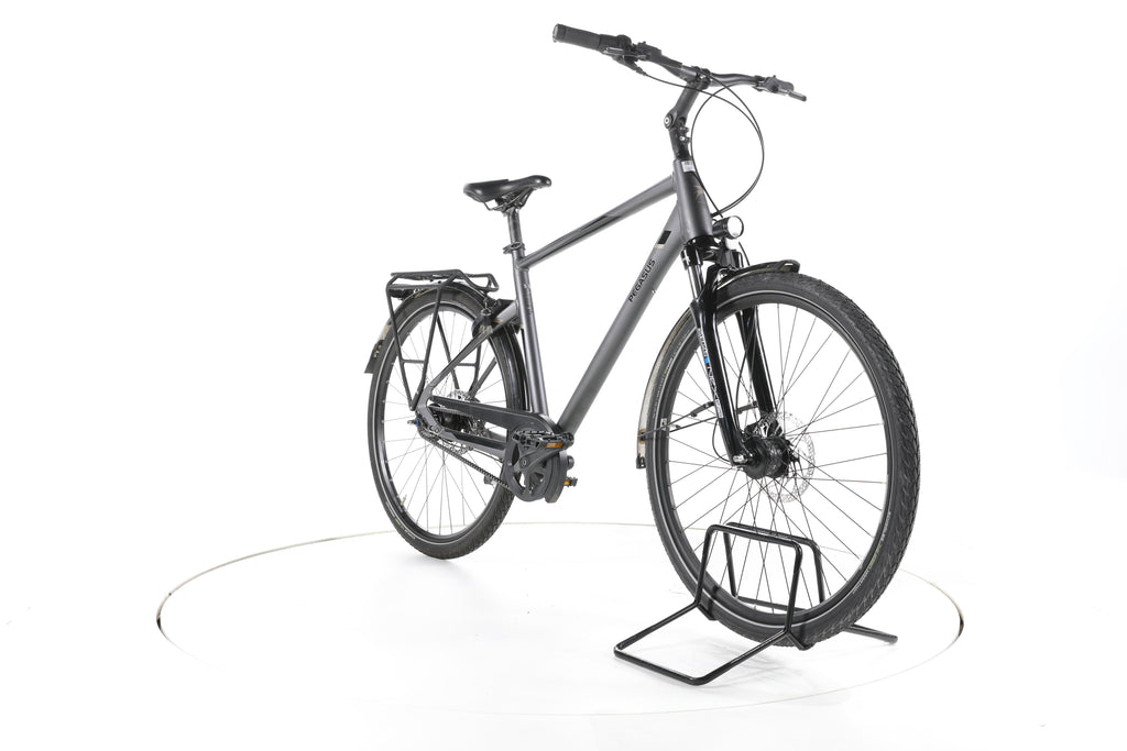 Pegasus Premio SL Belt - Image 3