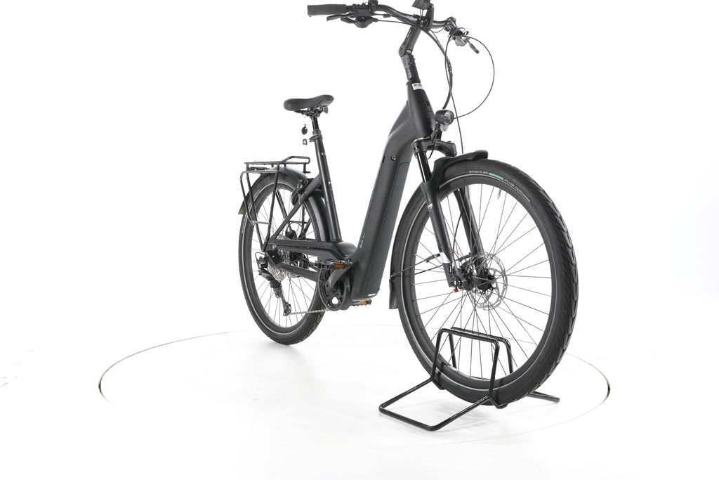 Pegasus Strong Evo 12 Lite Trekking E-Bike Tiefeinsteiger - Image 3