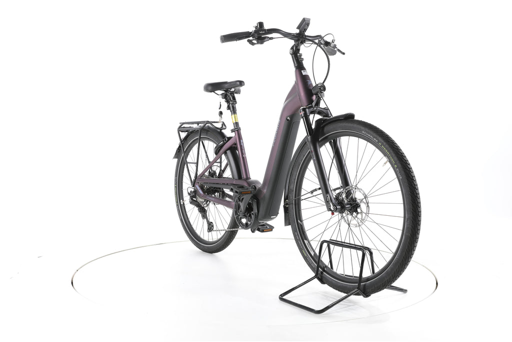 Pegasus Premio EVO 11 Trekking E-Bike Tiefeinsteiger - Image 3