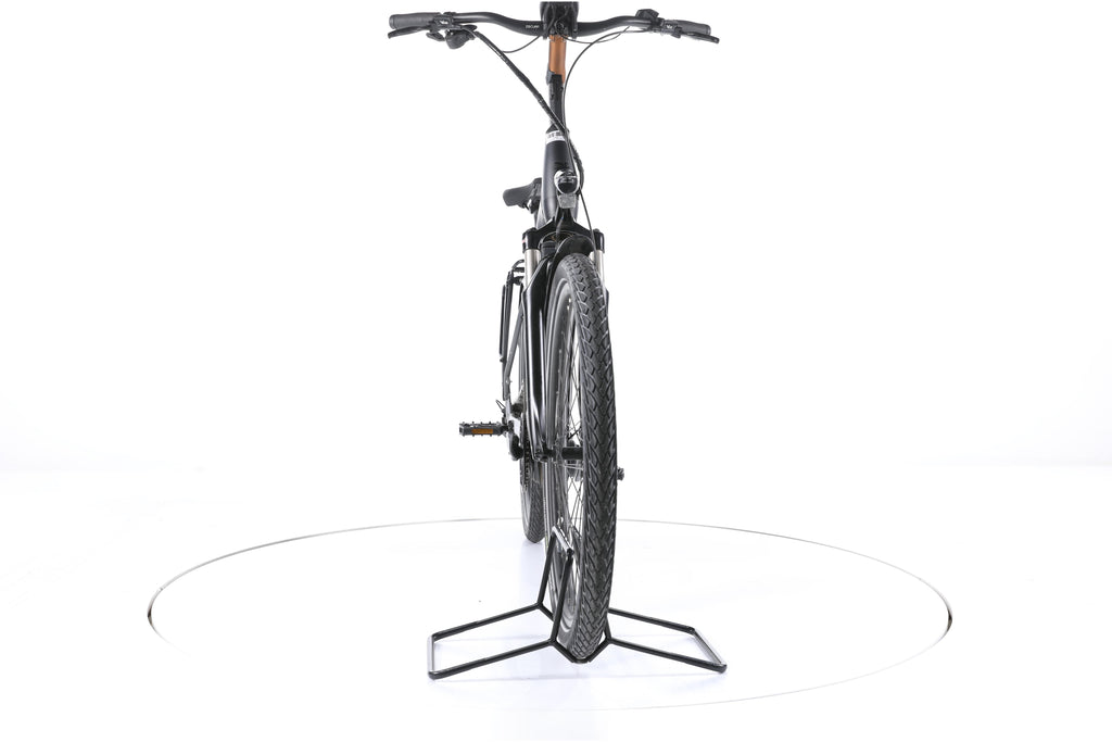 Pegasus Strong EVO 10 Trekking E-Bike Tiefeinsteiger - Image 4