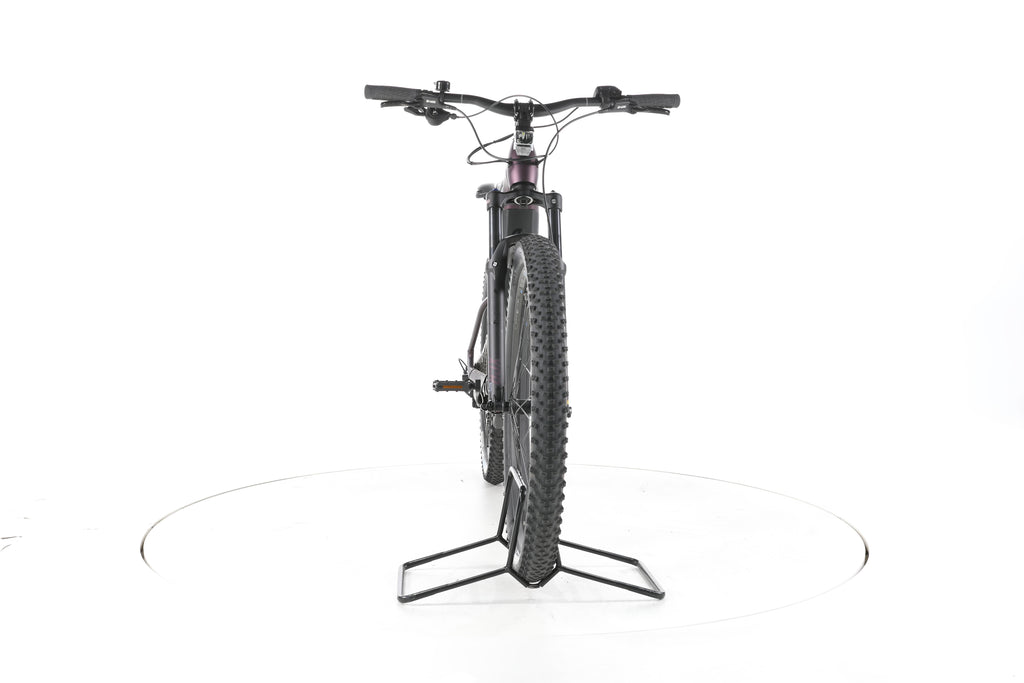 Bulls Aminga Eva 2 E-Bike - Image 4