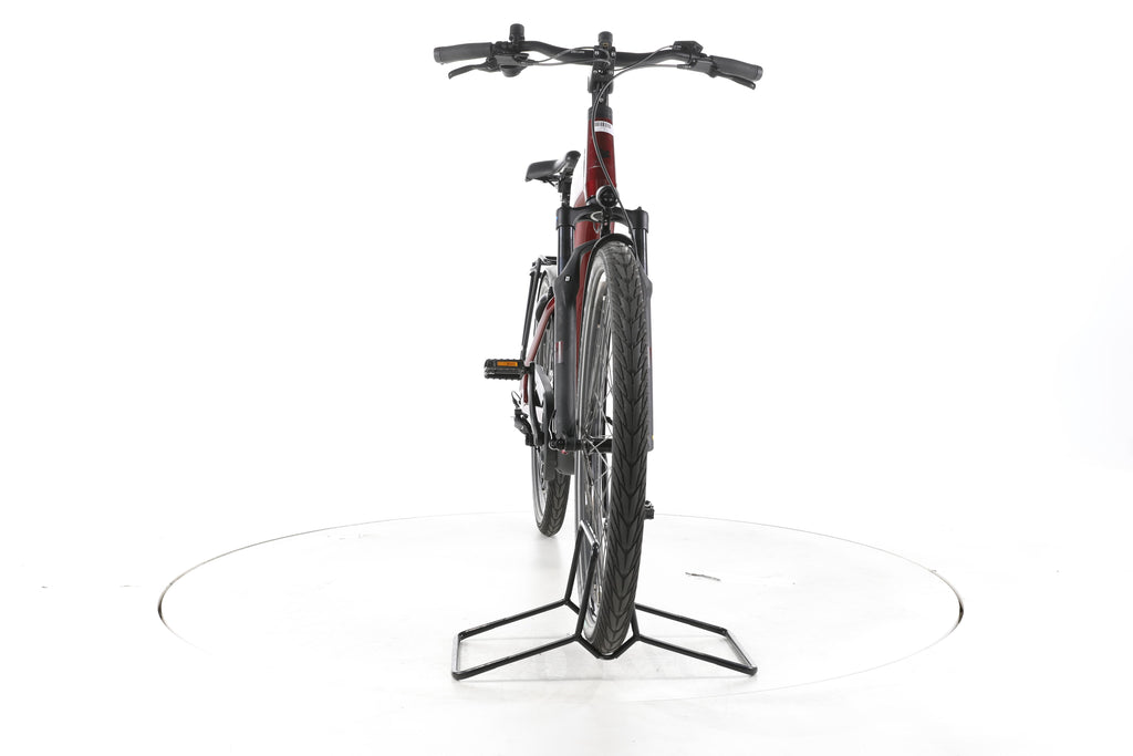 Pegasus Strong Evo 10 Lite Trekking E-Bike Tiefeinsteiger 2025 - Image 4