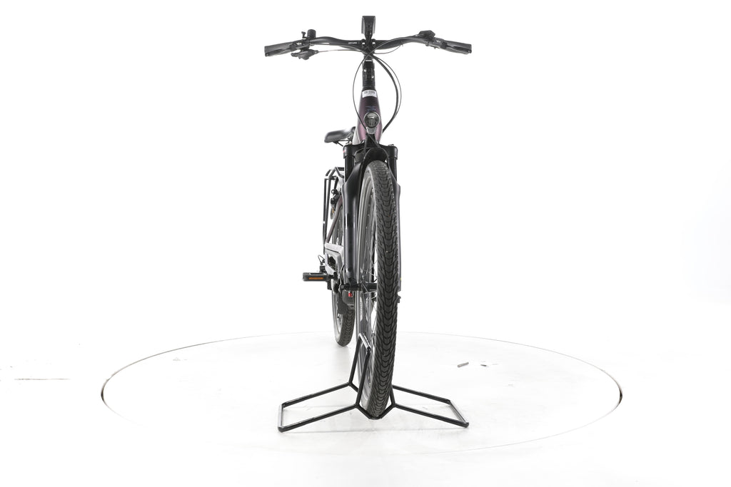 Pegasus Premio EVO 11 "40 Years" Trekking E-Bike Tiefeinsteiger - Image 4