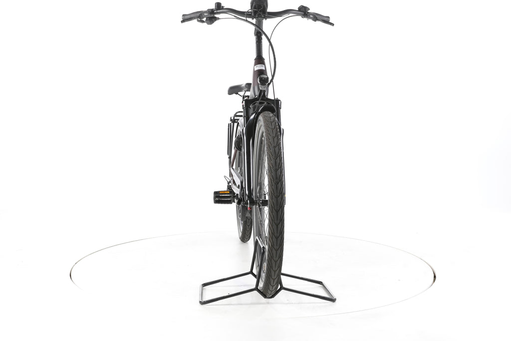 Pegasus Strong EVO 10 Lite Trekking E-Bike Tiefeinsteiger - Image 4