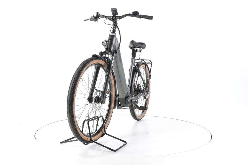 Pegasus Solero EVO 10 Trekking E-Bike Tiefeinsteiger 2024 - Image 5