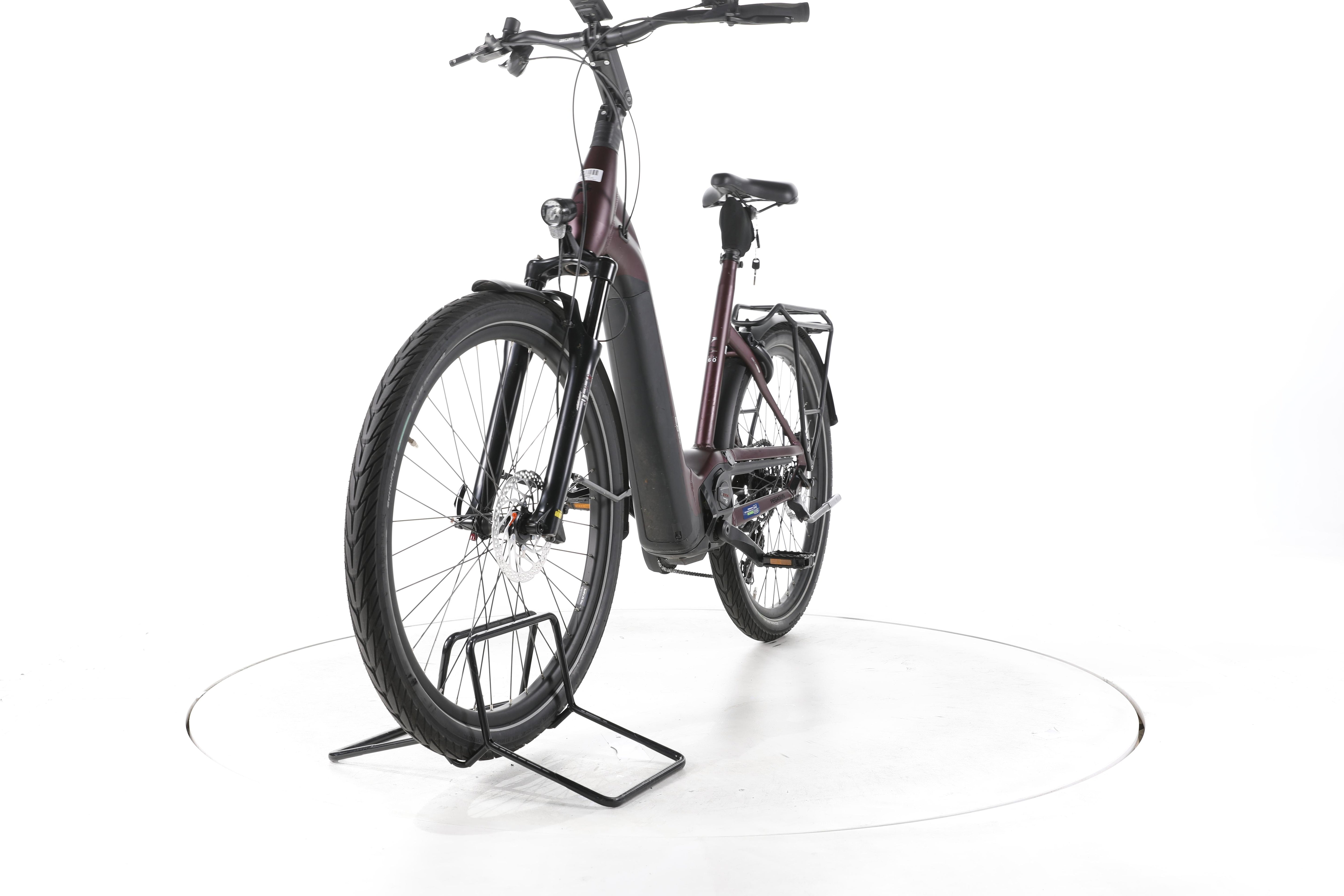 Pegasus Strong Evo 10 Lite Trekking E-Bike Tiefeinsteiger 2024 - Image 5