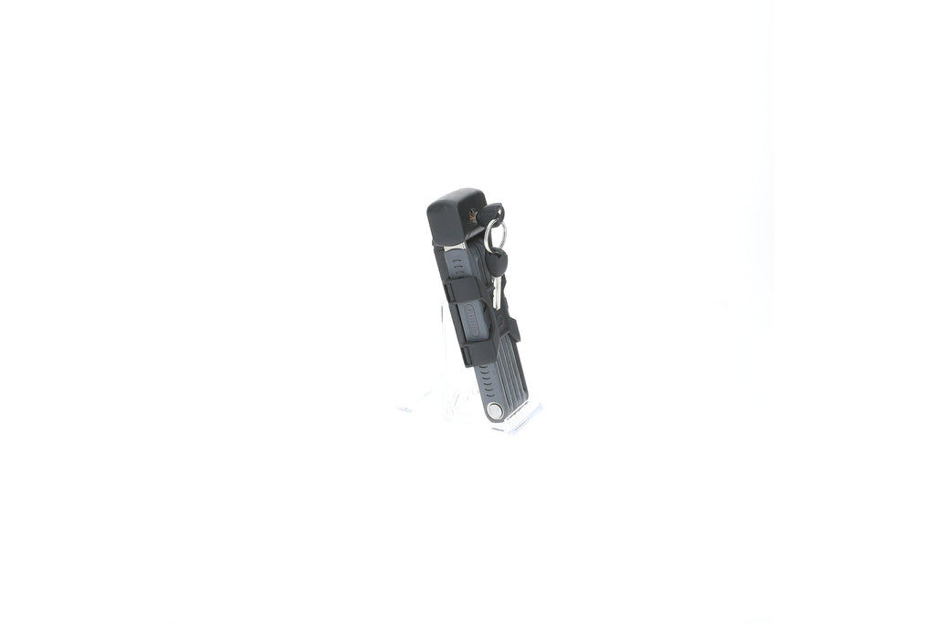 rb-10004363-img-006