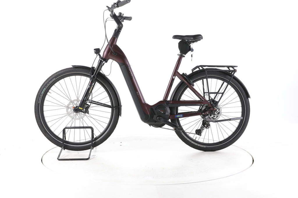 Pegasus Strong Evo 10 Lite Trekking E-Bike Tiefeinsteiger 2024 - Image 7