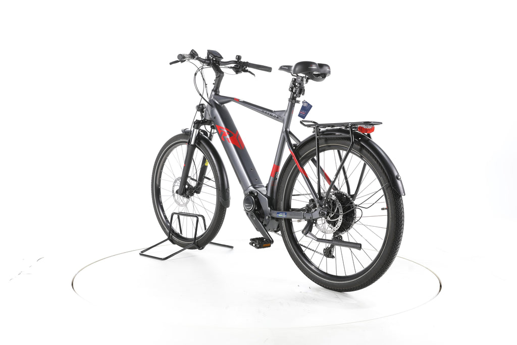 R Raymon TourRay E 6.0 Trekking E-Bike - Image 9