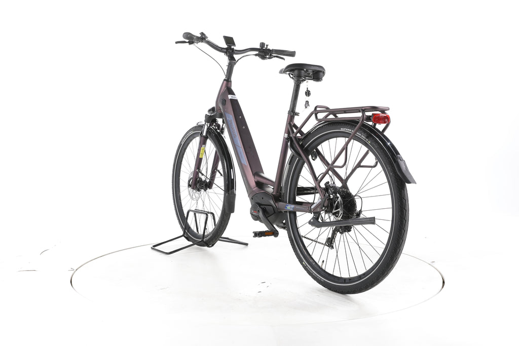 Pegasus Solero EVO 9 Trekking E-Bike Tiefeinsteiger - Image 9