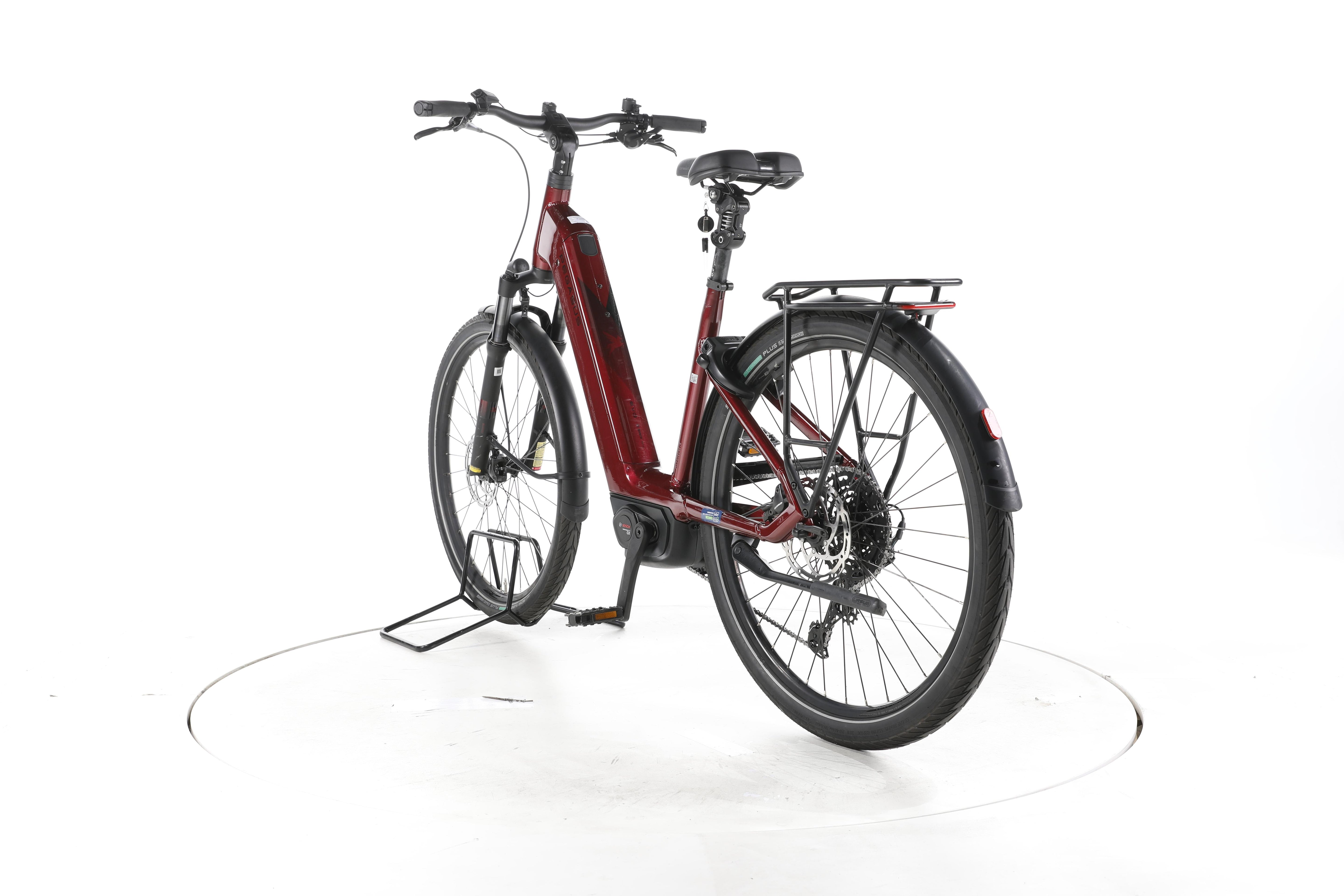Pegasus Strong Evo 10 Lite Trekking E-Bike Tiefeinsteiger 2025 - Image 9