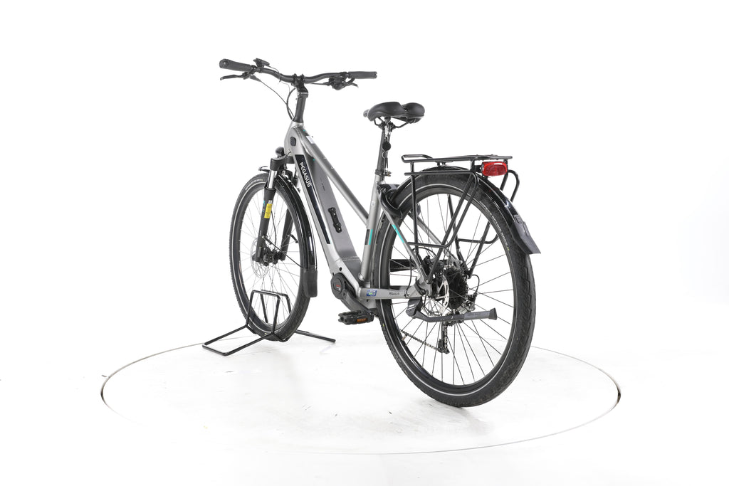 Pegasus EVO CX Trekking E-Bike - Image 9