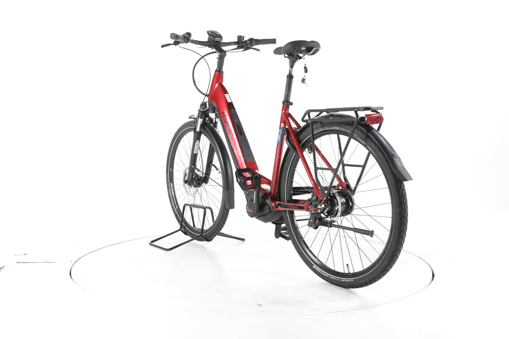 Pegasus Premio EVO 5R City E-Bike Tiefeinsteiger - Image 9