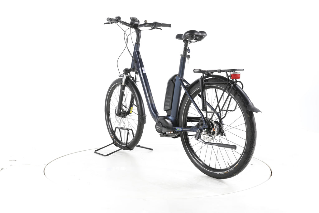 Raleigh Kingston Premium City E-Bike Tiefeinsteiger - Image 9
