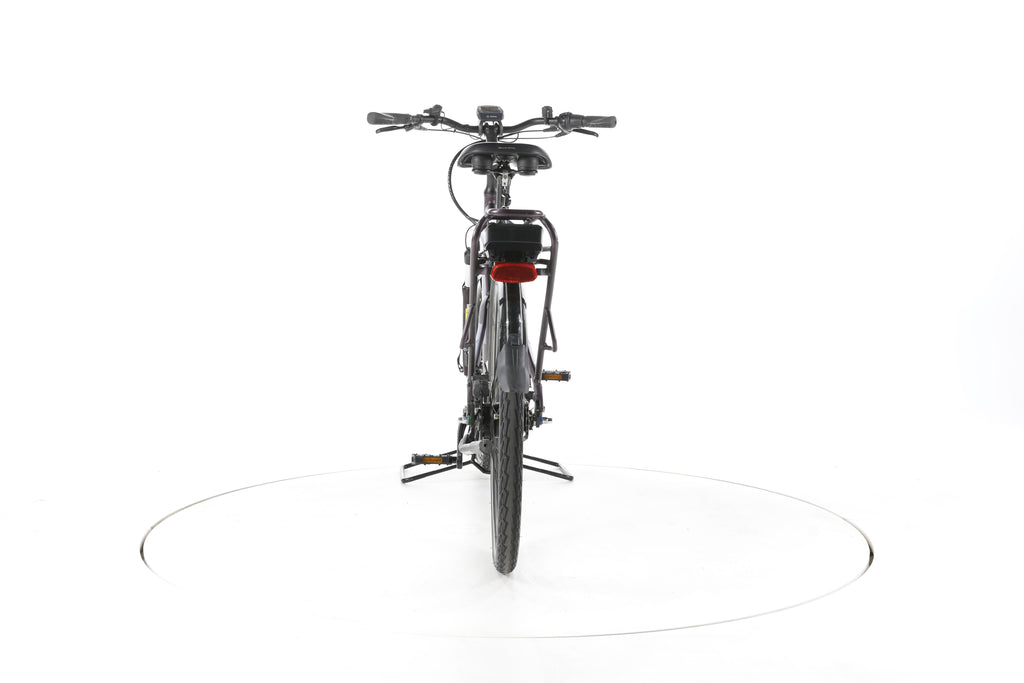 Pegasus Solero E8R Plus City E-Bike Tiefeinsteiger - Image 10