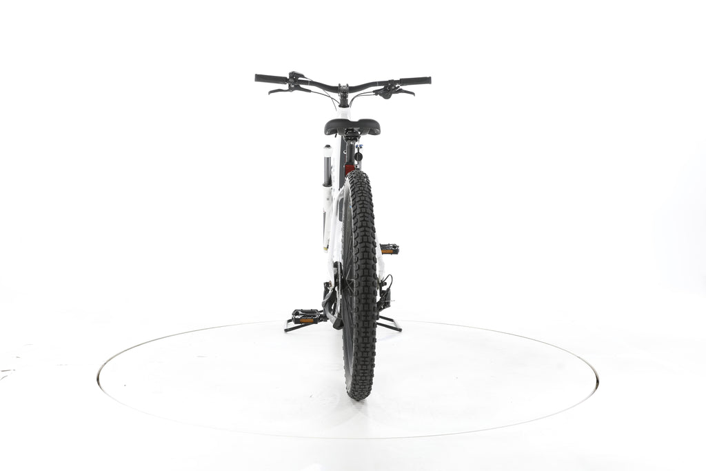Bulls Aminga EVA 2 Trekking E-Bike Tiefeinsteiger - Image 10