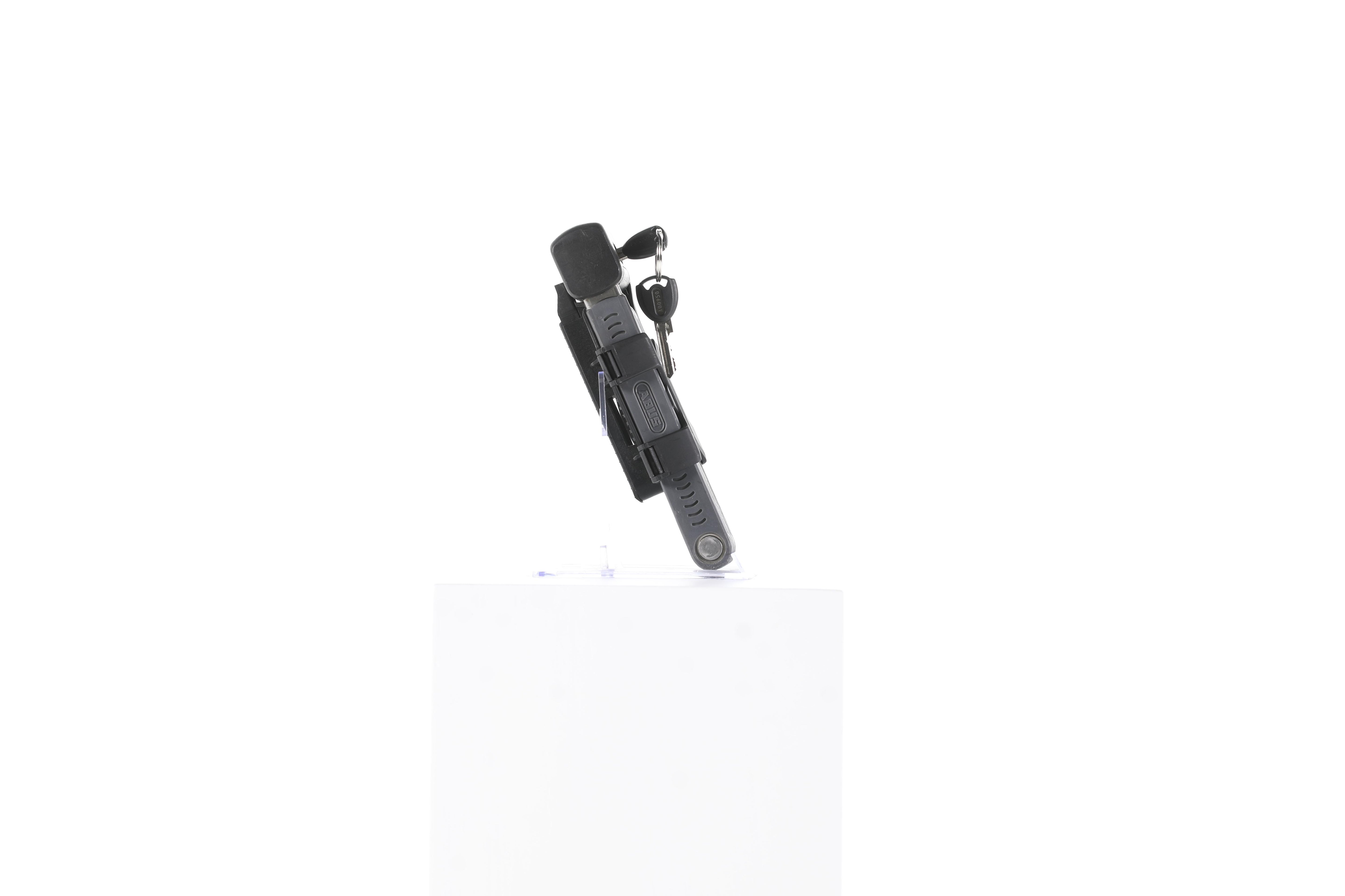 rb-10004363-img-010