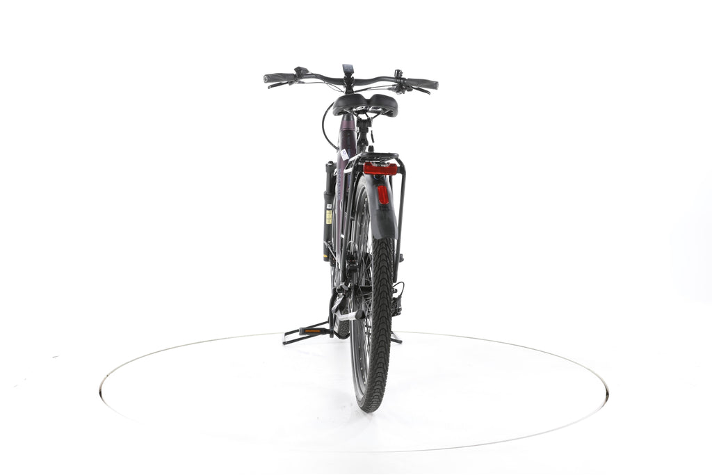 Pegasus Premio EVO 11 Trekking E-Bike Tiefeinsteiger - Image 10