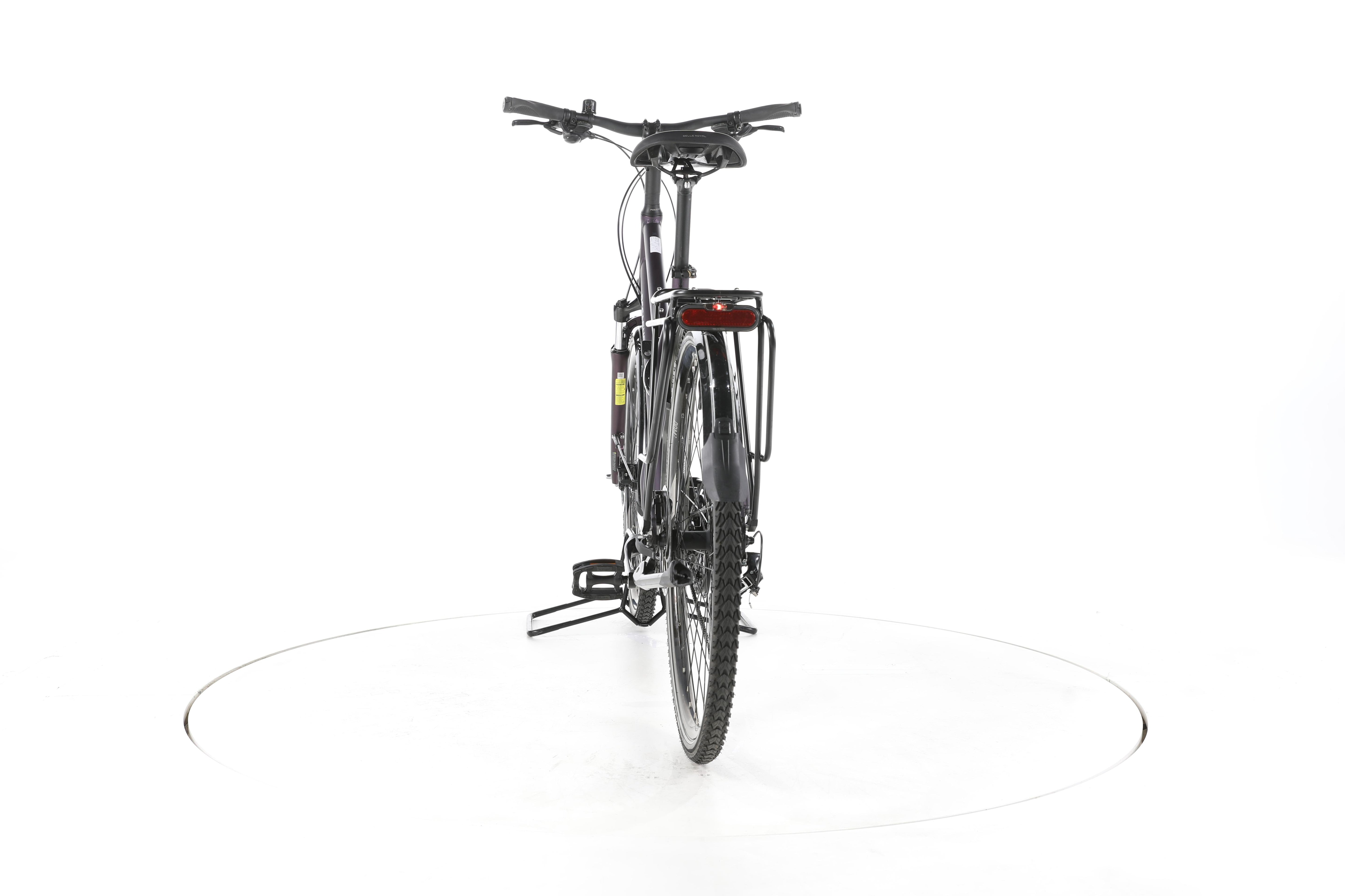 Pegasus Savona SL Disc 24 Fahrrad City & Trekking - Image 10