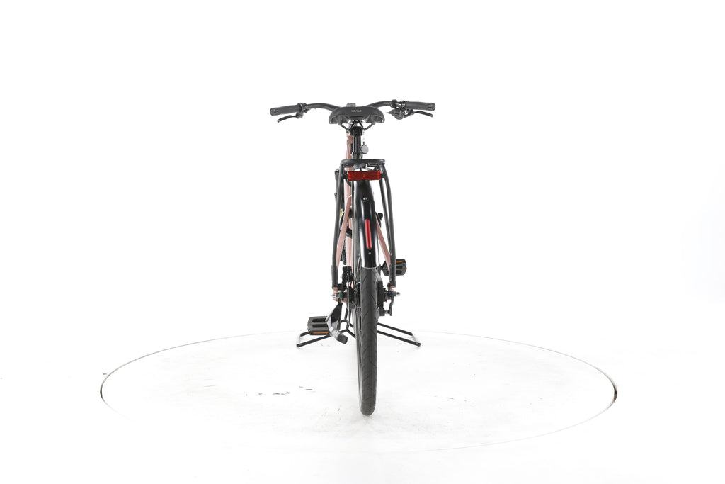 Riese & Müller UBN Seven City E-Bike - Image 10