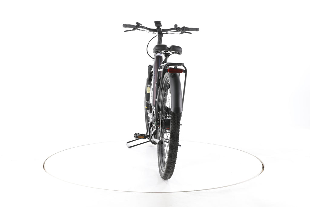 Pegasus Premio EVO 5F Lite Belt City E-Bike Tiefeinsteiger 2024 - Image 10