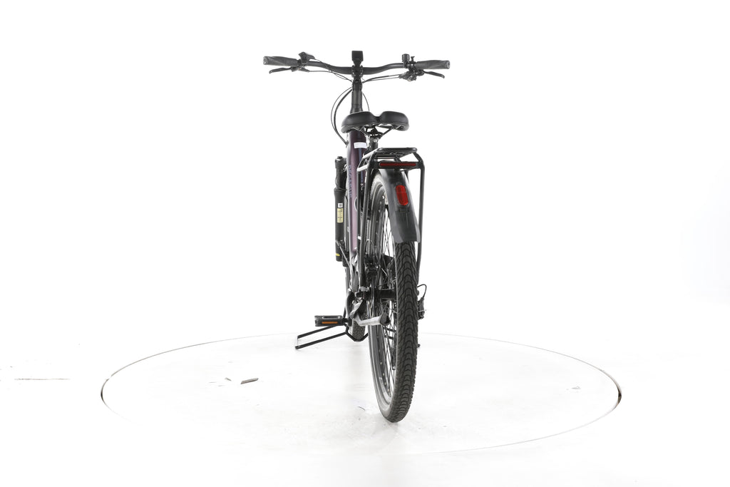 Pegasus Premio EVO 11 "40 Years" Trekking E-Bike Tiefeinsteiger - Image 10